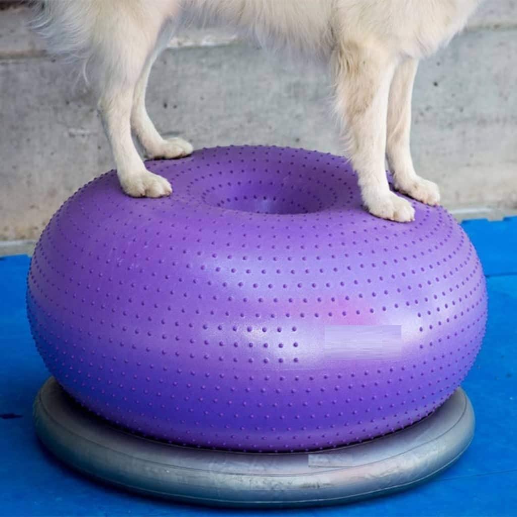 Balance Cushion Disc - แผ่นรองฝึกสมดุลสำหรับสุนัข แพลตฟอร์มฝึกสมดุล เสริมสร้างความแข็งแรง ความทนทาน ปรับสภาพร่างกาย อุปกรณ์ฟื้นฟูสุขภาพสัตว์เลี้ยง