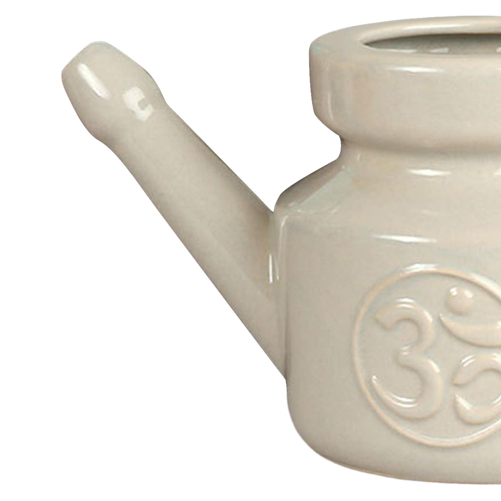 กระบอกล้างจมูกขนาด 350 มล. พร้ - Neti Pot Nasal Rinse บทวิจารณ์และราคา