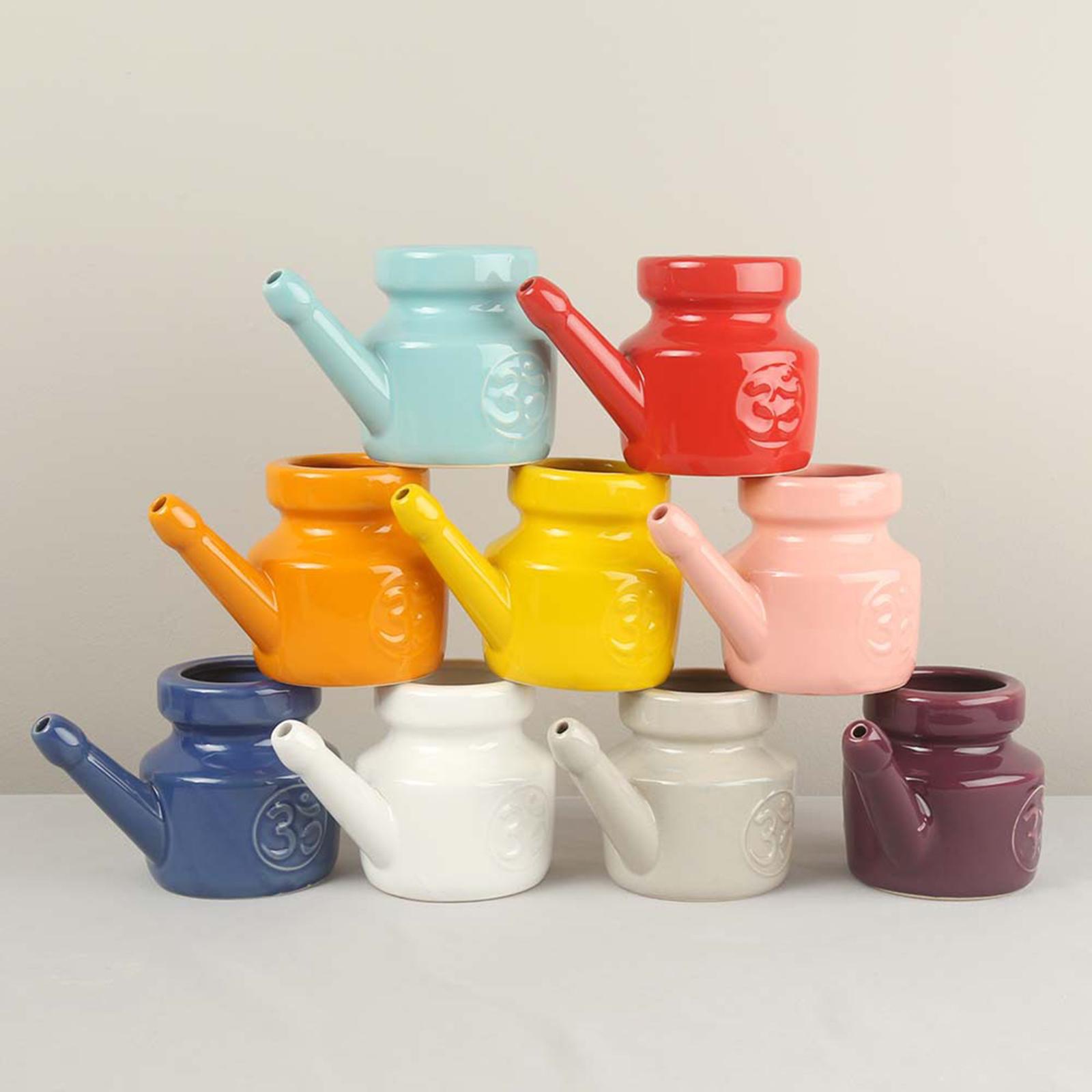 กระบอกล้างจมูกขนาด 350 มล. พร้ - Neti Pot Nasal Rinse บทวิจารณ์และราคา