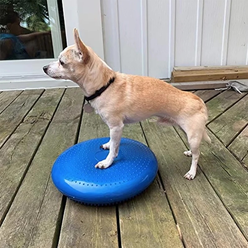 แผ่นรองทรงกลมสำหรับสุนัข ใช้สำ - Balance Cushion Disc บทวิจารณ์และราคา